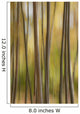 Abstract Of Birch Trees And Fall Colors, Alaska Wall Mural