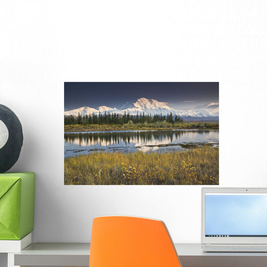 The North Face And Peak Of Mt Mckinley Is Reflected Wall Mural