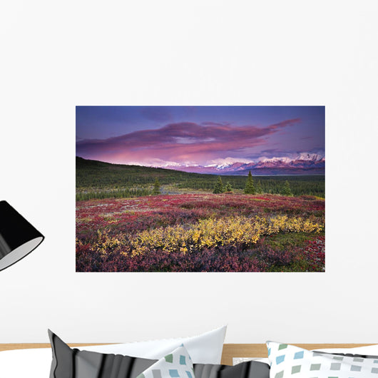 Scenic View Of Alpine Tundra With Alaska Range Wall Mural