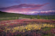 Scenic View Of Alpine Tundra With Alaska Range Wall Mural
