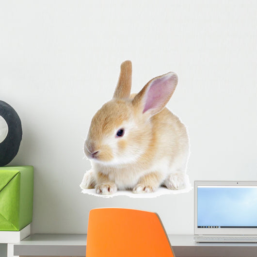 Red Rabbit Wall Decal