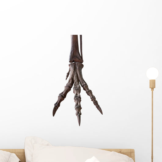 Paw Skeleton Tyrannosaur White Wall Decal