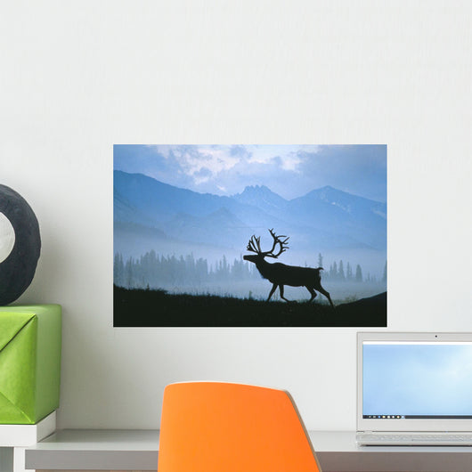 Caribou Walking Denali Nat'l Park Fog Alaska Composite Wall Mural