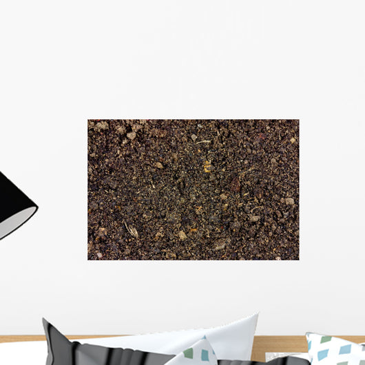soil background Wall Mural