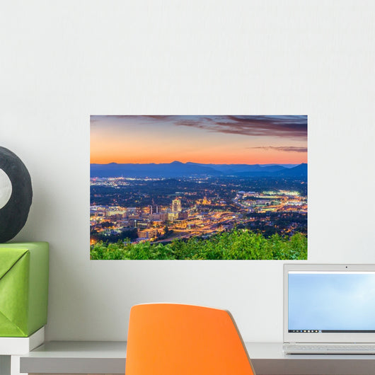 Roanoke Virginia Usa Skyline Wall Decal