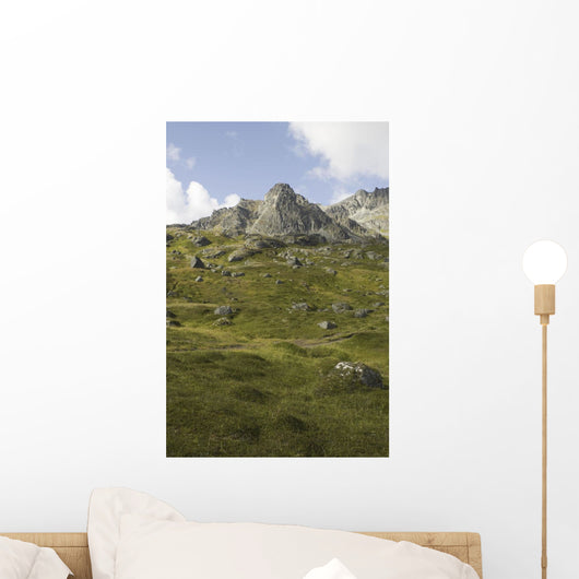 Scenic Of High Rugged Mountain Peaks And Green Tundra Hillside Wall Mural