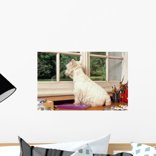 westie sur la table regardant par la fenêtre Wall Mural