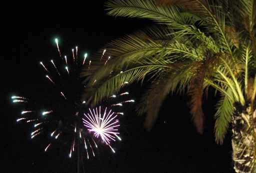 Feu D'artifice 19 Wall Decal