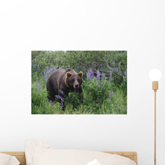 Captive Wall Mural