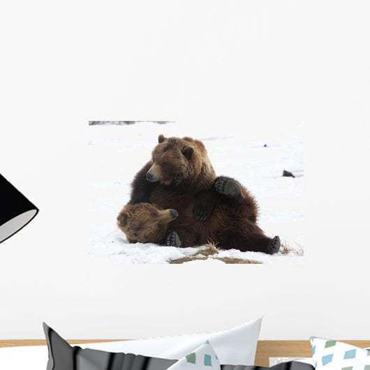 A Pair Of Adult Brown Bears Wrestle Playfully In Snow Wall Mural
