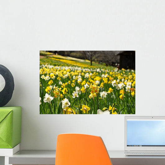 Field Yellow and White