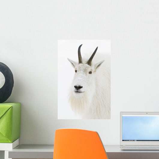 Captive Wall Mural