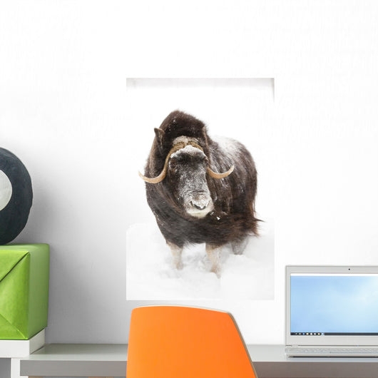 Captive Wall Mural
