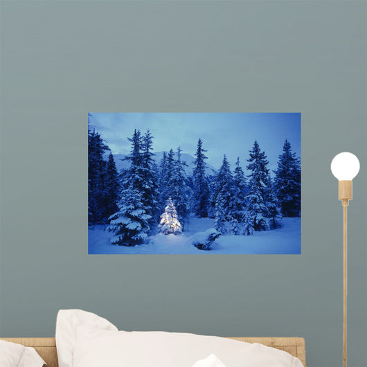Spruce Tree In Forest With Christmas Lights Ak Winter Wall Mural