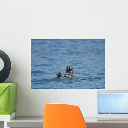 Sea Otters Swimming Wall Mural