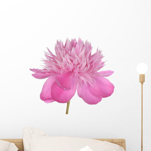 Peony Wall Decal