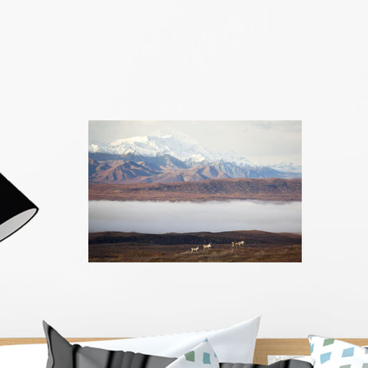 Three Caribou Stand On Ridge Wall Mural