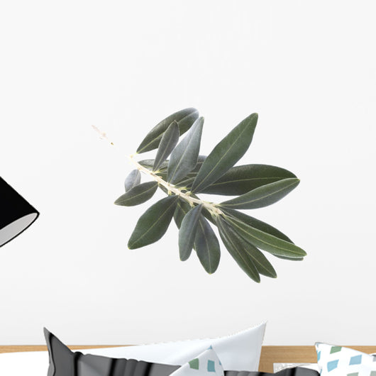 olive branch Wall Decal