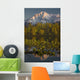 Scenic View Of Pioneer Peak Reflecting In Echo Lake At Sunset Wall Mural
