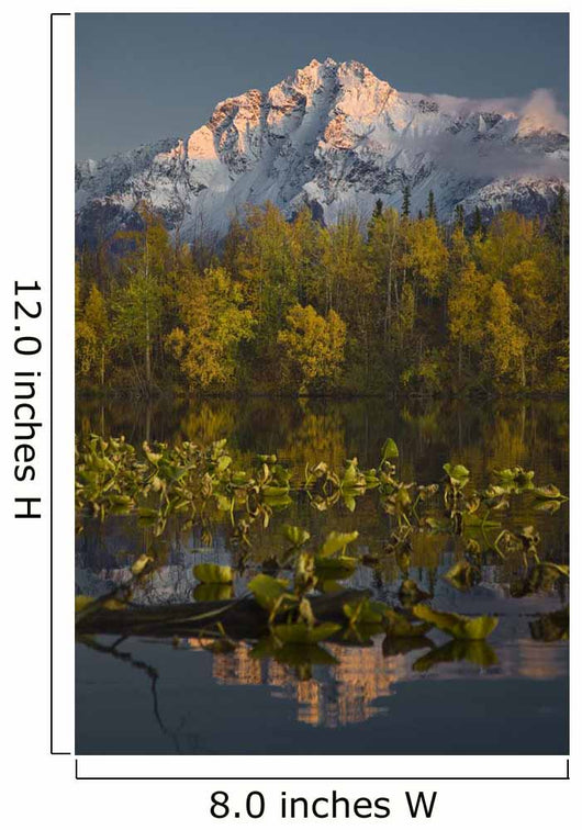 Scenic View Of Pioneer Peak Reflecting In Echo Lake At Sunset Wall Mural