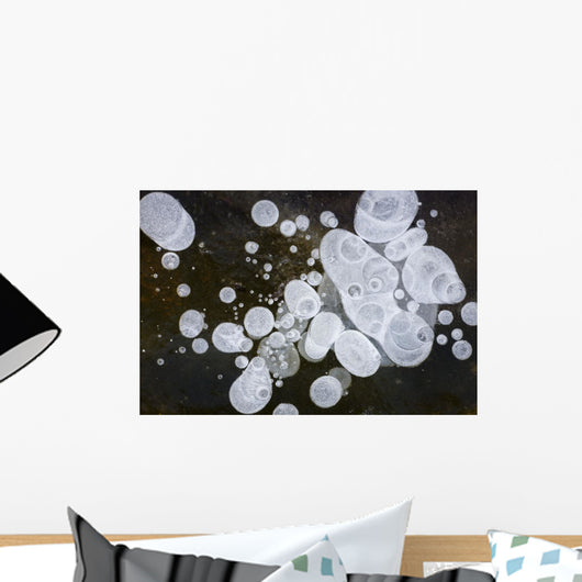 Ice Bubbles Formed In Clear Ice At Potter Marsh, Southcentral Alaska Wall Mural