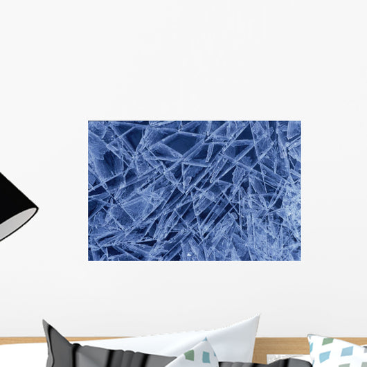 Ice Crystals Formed On Portage River Alaska Winter Wall Mural