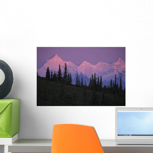 Alpenglow On Mt Brooks & Ak Range Denali Np Ak In Summer Wall Mural