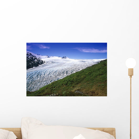 Exit Glacier Part Of Harding Ice Field Kp Ak Summer Kenai Fjords Np Wall Mural