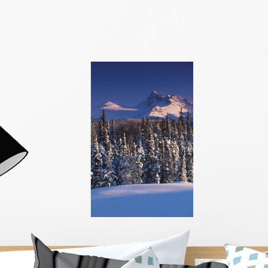 Chugach Mountains Anchorage Southcentral Alaska Winter Scenic Wall Mural