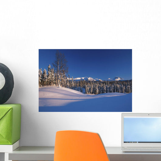 Chugach Mountains Anchorage Southcentral Alaska Winter Scenic Wall Mural