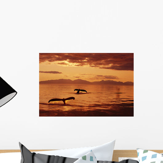 Humpback Whale Tails At Sunset Se Digital Composite Wall Mural