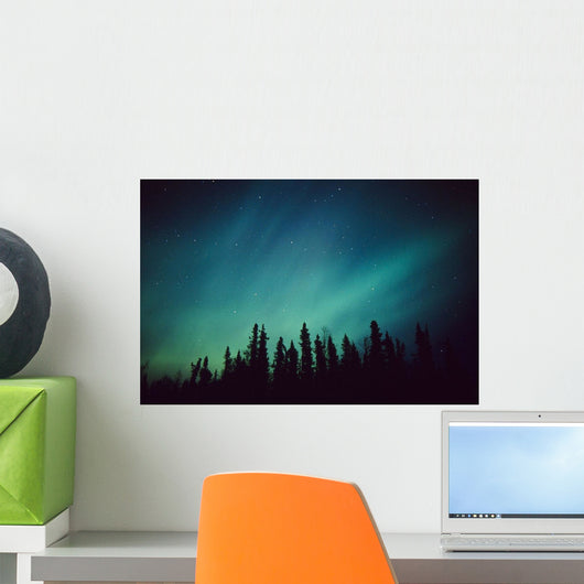 Northern Lights Over Black Spruce Forest During Winter Wall Mural