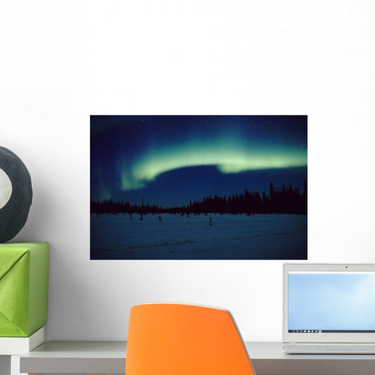 Northern Lights Over Black Spruce Forest During Winter Wall Mural
