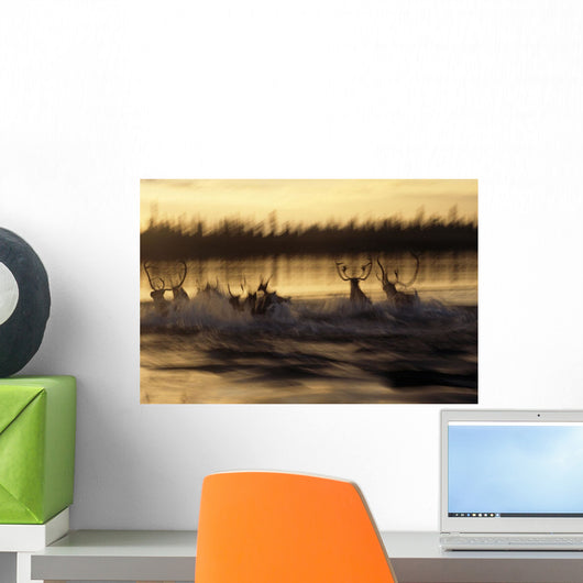 Caribou Herd Running Wall Mural