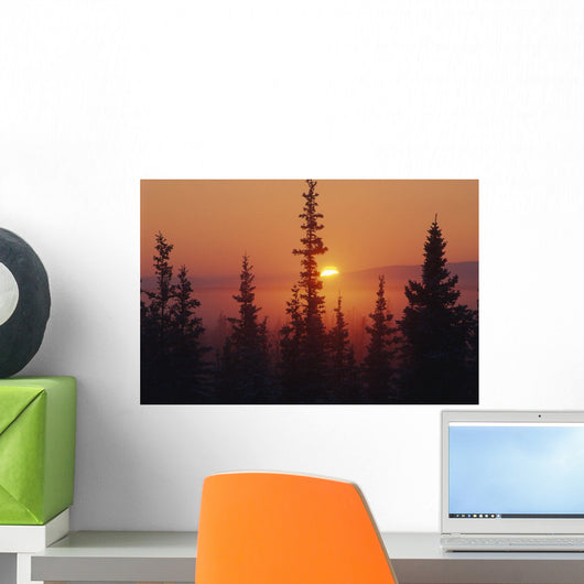 January Sun Across Foggy Forest Wall Mural