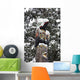 Raven Totemic Figure Wall Mural