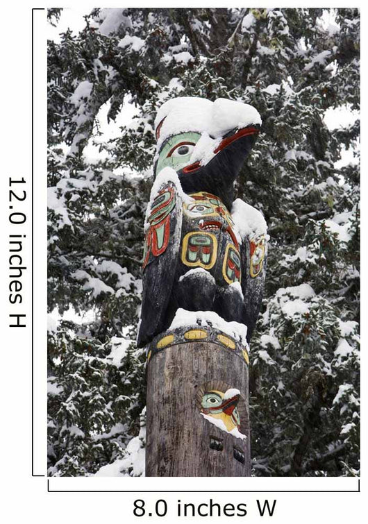 Raven Totemic Figure Wall Mural