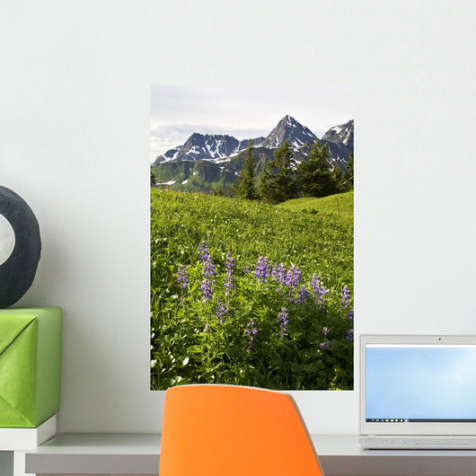 Lupine Wildfolwers Wall Mural