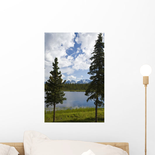 Scenic View Of A Lake In Denali National Park With The Alaska Range Wall Mural