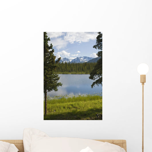 Scenic View Of A Lake In Denali National Park With The Alaska Range Wall Mural