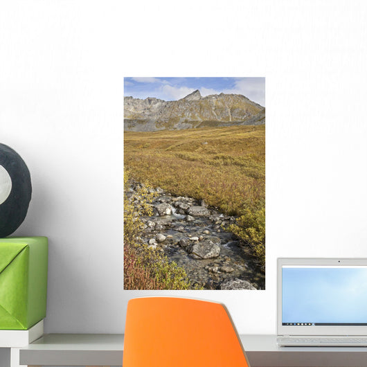 Scenic View Of Hatcher Pass Wall Mural