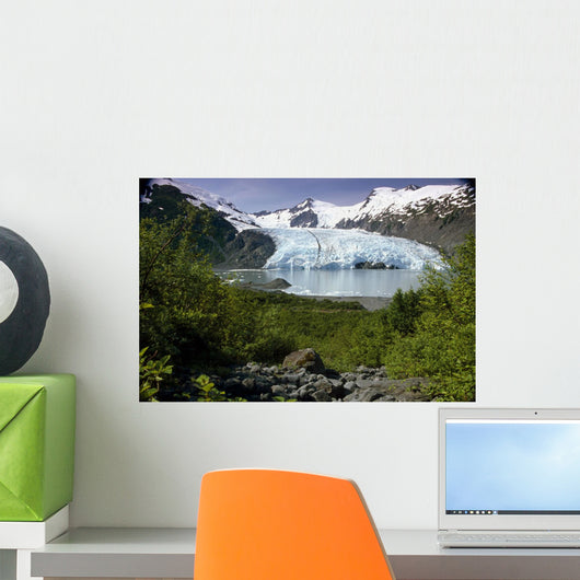 View Of Portage Glacier From Portage Pass Sc Alaska Summer Wall Mural