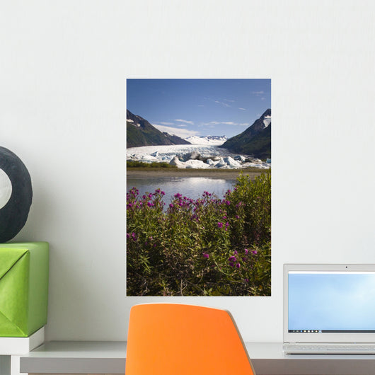 Scenic View Of Spencer Glacier Wall Mural
