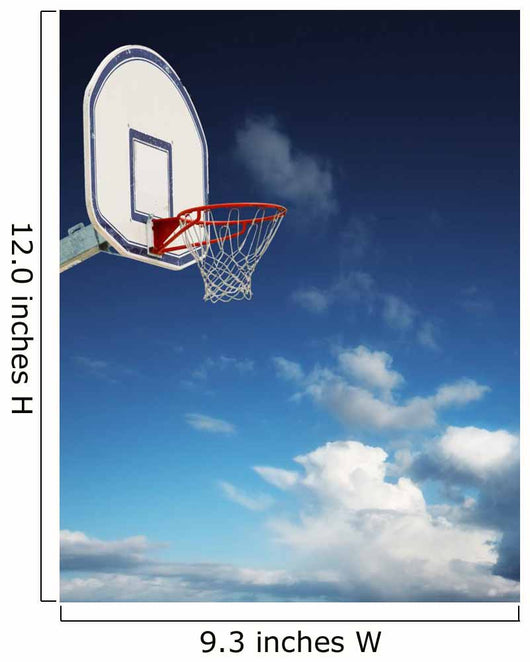 Basket Ball
