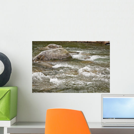 River Water Flowing Downstream Around Rocks Wall Mural