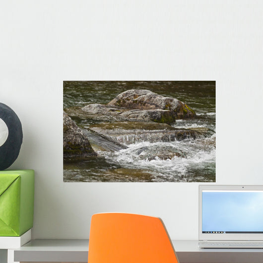 River Water Flowing Downstream Around Rocks Wall Mural