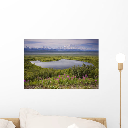A Kettle Pond Amidst The Summer Tundra Mtmckinley Wall Mural