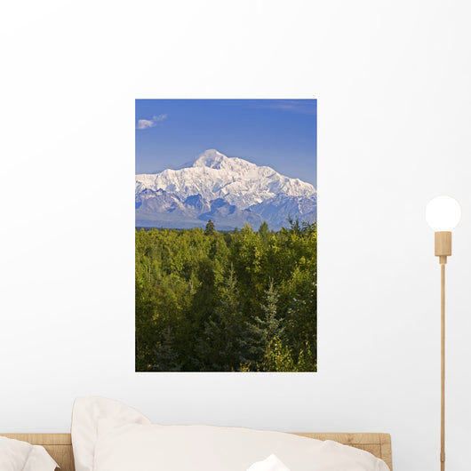 Southside View Of Mt Mckinley Summer, Southcentral, Alaska Wall Mural