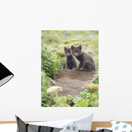 Two Arctic Fox Kits Sitting Near Their Den Wall Mural
