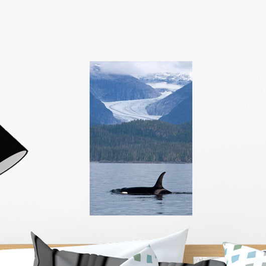 Composite Wall Mural